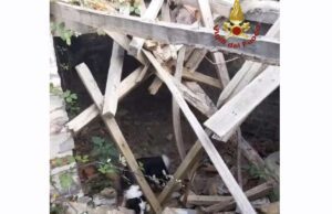 Crolla il tetto di una casa abbandonata a Civezza Crolla il tetto di una casa abbandonata a Civezza