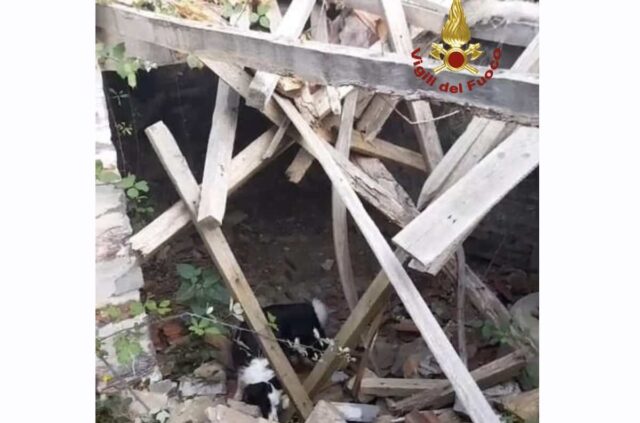 Crolla il tetto di una casa abbandonata a Civezza