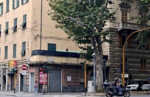 Genova, ramo cade da un albero in corso Torino: sfiorata la tragedia Genova, ramo cade da un albero in corso Torino: sfiorata la tragedia