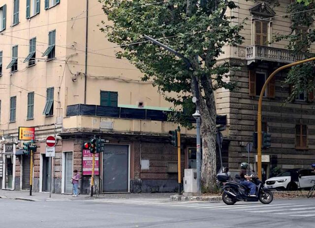 Genova, ramo cade da un albero in corso Torino: sfiorata la tragedia Genova, ramo cade da un albero in corso Torino: sfiorata la tragedia