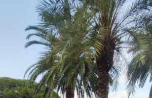 Calcio, ecco il nuovo Don Bosco Spezia Calcio - Ecco il nuovo Don Bosco Spezia