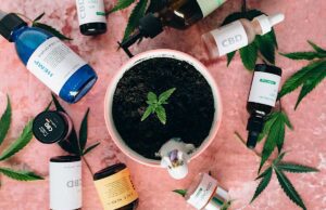 Cresce l’interesse, anche delle aziende liguri, per la cosmesi al cannabidiolo Cresce l’interesse, anche delle aziende liguri, per la cosmesi al cannabidiolo