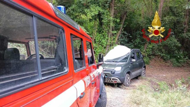 Sestri Ponente, finisce fuori strada per evitare i cinghiali Sestri Ponente, finisce fuori strada per evitare i cinghiali