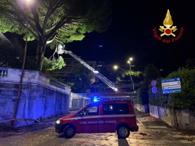 Maltempo: alberi crollati in Val Fontanabuona e disagi a Genova