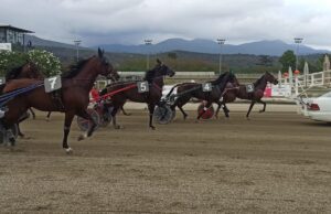 Santino Mollo ed Andrea Farolfi vincenti a Villanova