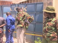 Italiano arrestato in Kenya: coltivava cannabis in un laboratorio Italiano arrestato in Kenya: coltivava cannabis in un laboratorio