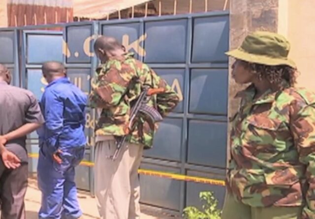 Italiano arrestato in Kenya: coltivava cannabis in un laboratorio