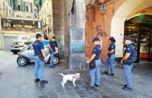 Controlli nel centro storico: rinvenuto stupefacente nascosto Controlli nel centro storico: rinvenuto stupefacente nascosto