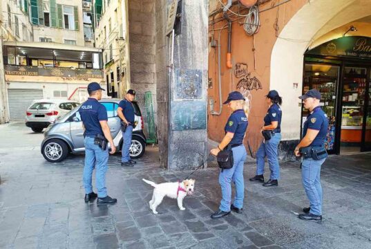 Maxi operazione in tutta Italia: a Genova 9 arresti e oltre 30 chili di droga sequestrati Maxi operazione in tutta Italia: a Genova 9 arresti e oltre 30 chili di droga sequestrati