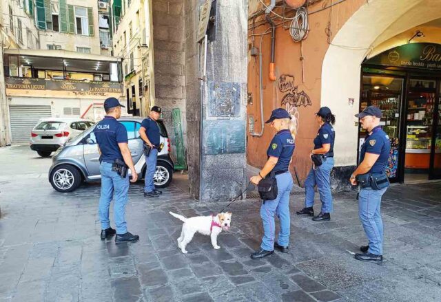 Genova, controlli antidroga nel Centro Storico: tre denunce in una giornata Genova, controlli antidroga nel Centro Storico: tre denunce in una giornata