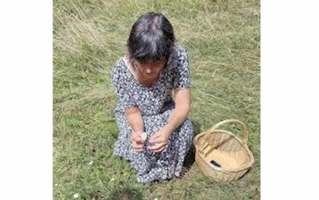 FestivAlContrario a Castelvecchio: laboratori per bambini, workshop sulle erbe spontanee e tanto spettacolo
