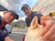 Chiavari, la Stradale ritrova un cagnolino smarrito nell’area di servizio Riviera Sud Chiavari, la Stradale ritrova un cagnolino smarrito nell’area di servizio Riviera Sud