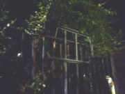 Genova, vandalizzata la targa di Norma Cossetto: Fratelli d’Italia chiede una condanna unanime Genova, vandalizzata la targa di Norma Cossetto: Fratelli d’Italia chiede una condanna unanime