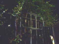 Genova, vandalizzata la targa di Norma Cossetto: Fratelli d’Italia chiede una condanna unanime Genova, vandalizzata la targa di Norma Cossetto: Fratelli d’Italia chiede una condanna unanime