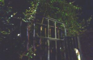 Genova, vandalizzata la targa di Norma Cossetto: Fratelli d’Italia chiede una condanna unanime Genova, vandalizzata la targa di Norma Cossetto: Fratelli d’Italia chiede una condanna unanime