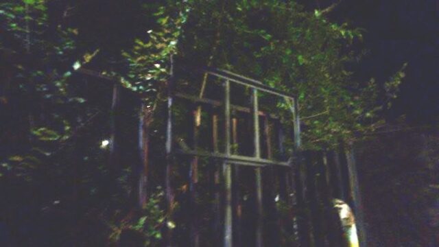 Genova, vandalizzata la targa di Norma Cossetto: Fratelli d’Italia chiede una condanna unanime