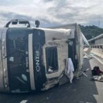A10, mezzo pesante si ribalta tra Albisola e Celle Ligure