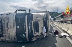 A10, mezzo pesante si ribalta tra Albisola e Celle Ligure A10, mezzo pesante si ribalta tra Albisola e Celle Ligure