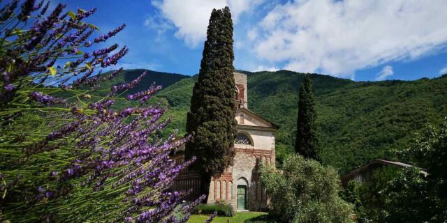 Settembre nel Parco dell’Aveto: escursioni, musica e tradizioni tra natura e benessere Settembre nel Parco dell’Aveto: escursioni, musica e tradizioni tra natura e benessere