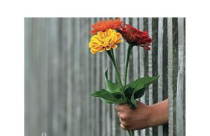 Presentazione libro “La cura” di Stefania Magnone La cura-Dettaglio libro di Stefania Magnone