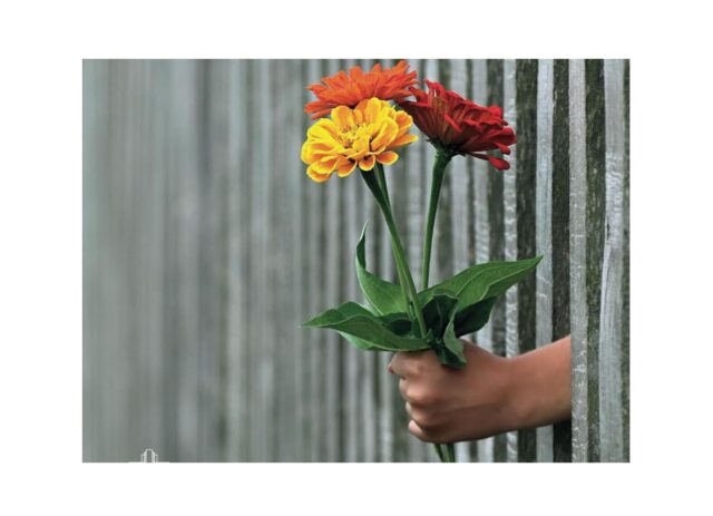 La cura-Dettaglio libro di Stefania Magnone