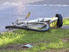 Lavagna, camion contro bici, 30enne gravemente ferito Lavagna, camion contro bici, 30enne gravemente ferito