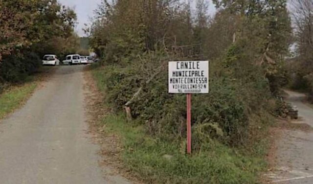 canile municipale monte contessa Open day al Canile Monte Contessa domenica 14 settembre