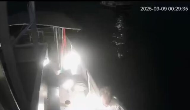 flotilla Flottilla per Gaza: studenti di Genova occupano il rettorato