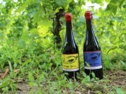 Keaka, il Pigato che rompe gli schemi: debutto a Casa Museo Jorn Keaka, il Pigato che rompe gli schemi: debutto a Casa Museo Jorn