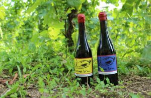 Keaka, il Pigato che rompe gli schemi: debutto a Casa Museo Jorn Keaka, il Pigato che rompe gli schemi: debutto a Casa Museo Jorn