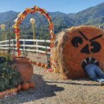 Halloween: radici antiche, visioni della Chiesa e l’esplosione del business moderno