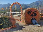 Halloween: radici antiche, visioni della Chiesa e l’esplosione del business moderno Halloween: radici antiche, visioni della Chiesa e l’esplosione del business moderno