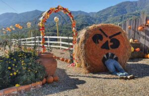Halloween: radici antiche, visioni della Chiesa e l’esplosione del business moderno Halloween: radici antiche, visioni della Chiesa e l’esplosione del business moderno