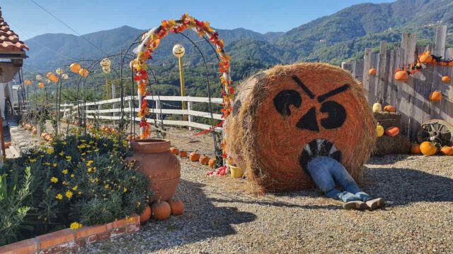 Halloween: radici antiche, visioni della Chiesa e l’esplosione del business moderno Halloween: radici antiche, visioni della Chiesa e l’esplosione del business moderno