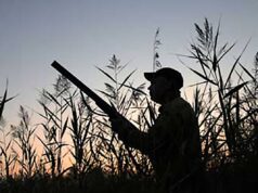 S. Stefano d’Aveto, incidente di caccia: 23enne ferito alla testa da scarica pallini