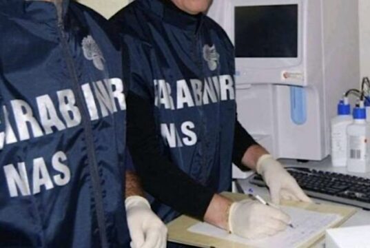 Blatte, assunzioni irregolari e carenze igieniche nel centro storico di Genova: chiusi due negozi Blatte, assunzioni irregolari e carenze igieniche nel centro storico di Genova: chiusi due negozi