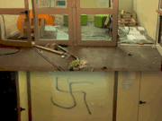 Da Vinci, pm contesta danneggiamento aggravato. Ma non apologia del fascismo