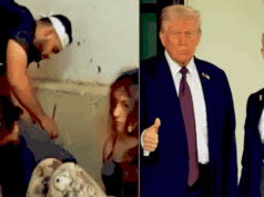 Hamas rilascia ostaggi e Idf si ritira. Storico accordo grazie a Trump, uomo di pace