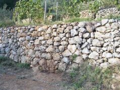 Cinque Terre, nuovo bando da 800mila euro per il recupero dei muretti a secco Cinque Terre, nuovo bando da 800mila euro per il recupero dei muretti a secco