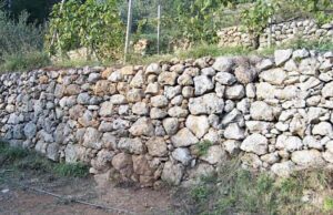 Cinque Terre, nuovo bando da 800mila euro per il recupero dei muretti a secco Cinque Terre, nuovo bando da 800mila euro per il recupero dei muretti a secco
