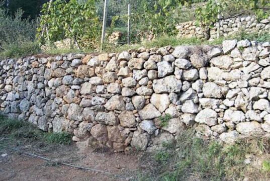 Cinque Terre, nuovo bando da 800mila euro per il recupero dei muretti a secco Cinque Terre, nuovo bando da 800mila euro per il recupero dei muretti a secco