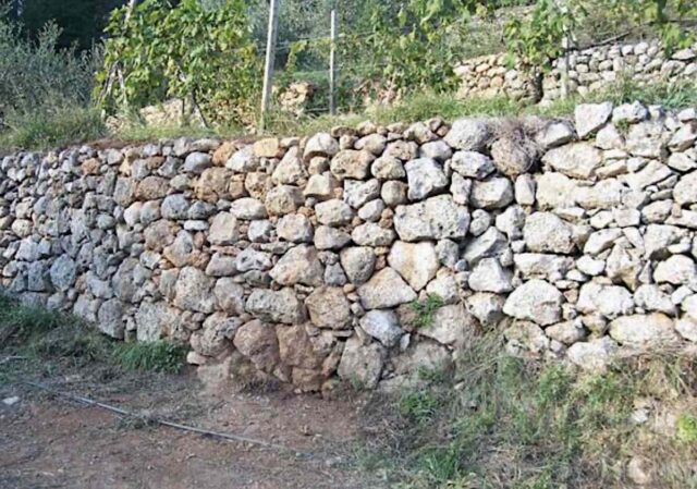 muretto a secco Cinque Terre, nuovo bando da 800mila euro per il recupero dei muretti a secco