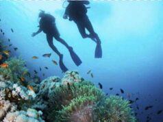 Tragedia vicino alle Isole Formiche: muore sub spezzino Tragedia vicino alle Isole Formiche: muore il sub spezzino Marco Danti