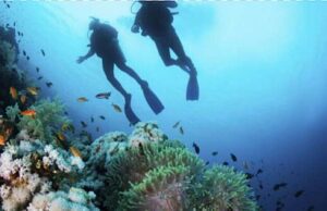 Tragedia vicino alle Isole Formiche: muore sub spezzino Tragedia vicino alle Isole Formiche: muore il sub spezzino Marco Danti