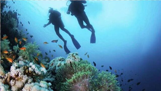 Tragedia vicino alle Isole Formiche: muore il sub spezzino Marco Danti