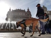 L’attività operativa della Questura di Genova nei mesi di settembre e ottobre