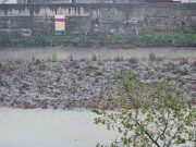 Maltempo a Genova, torrenti monitorati e livelli sotto guardia: invito a limitare gli spostamenti Maltempo a Genova, torrenti monitorati e livelli sotto guardia: invito a limitare gli spostamenti