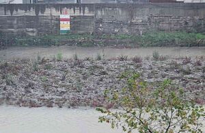 Maltempo a Genova, torrenti monitorati e livelli sotto guardia: invito a limitare gli spostamenti Maltempo a Genova, torrenti monitorati e livelli sotto guardia: invito a limitare gli spostamenti