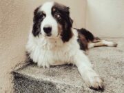 Sguardi, gesti e silenzi: l’arte di ciò che va oltre la parola Sguardi, gesti e silenzi: l’arte di ciò che va oltre la parola