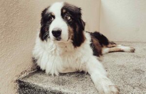 Sguardi, gesti e silenzi: l’arte di ciò che va oltre la parola Sguardi, gesti e silenzi: l’arte di ciò che va oltre la parola